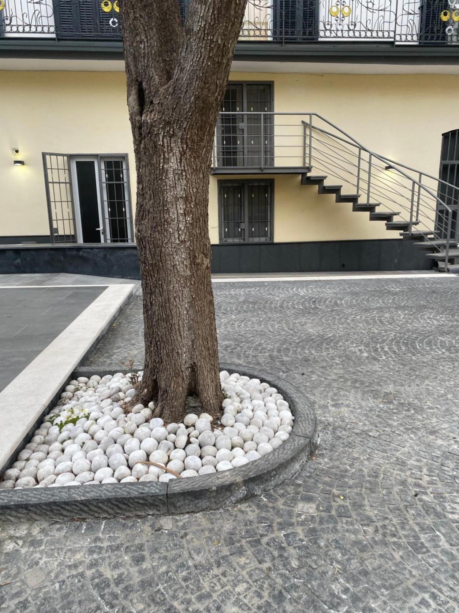 B&B Villa Filu ポルティチ エクステリア 写真